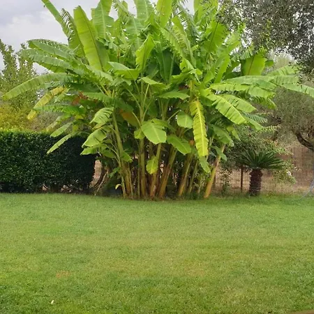 Wonderful Spot To Recharge Villa