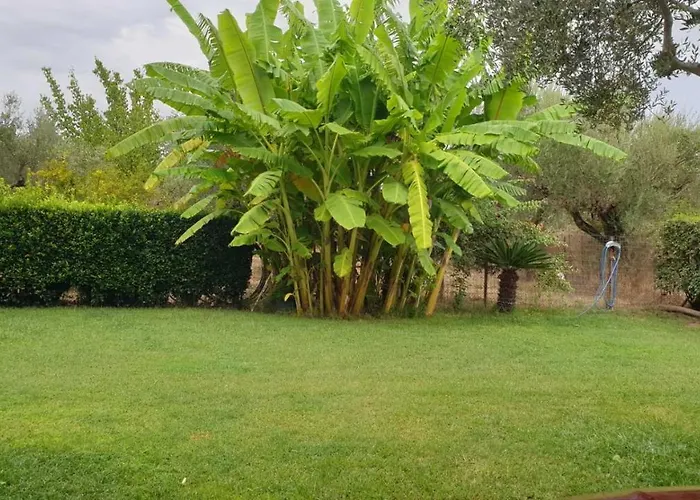 Wonderful Spot To Recharge فيلة