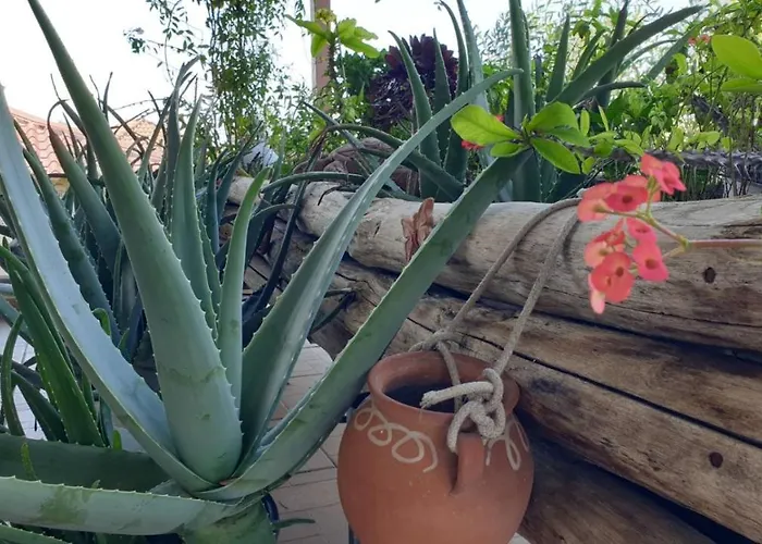 Wonderful Spot To Recharge فيلة